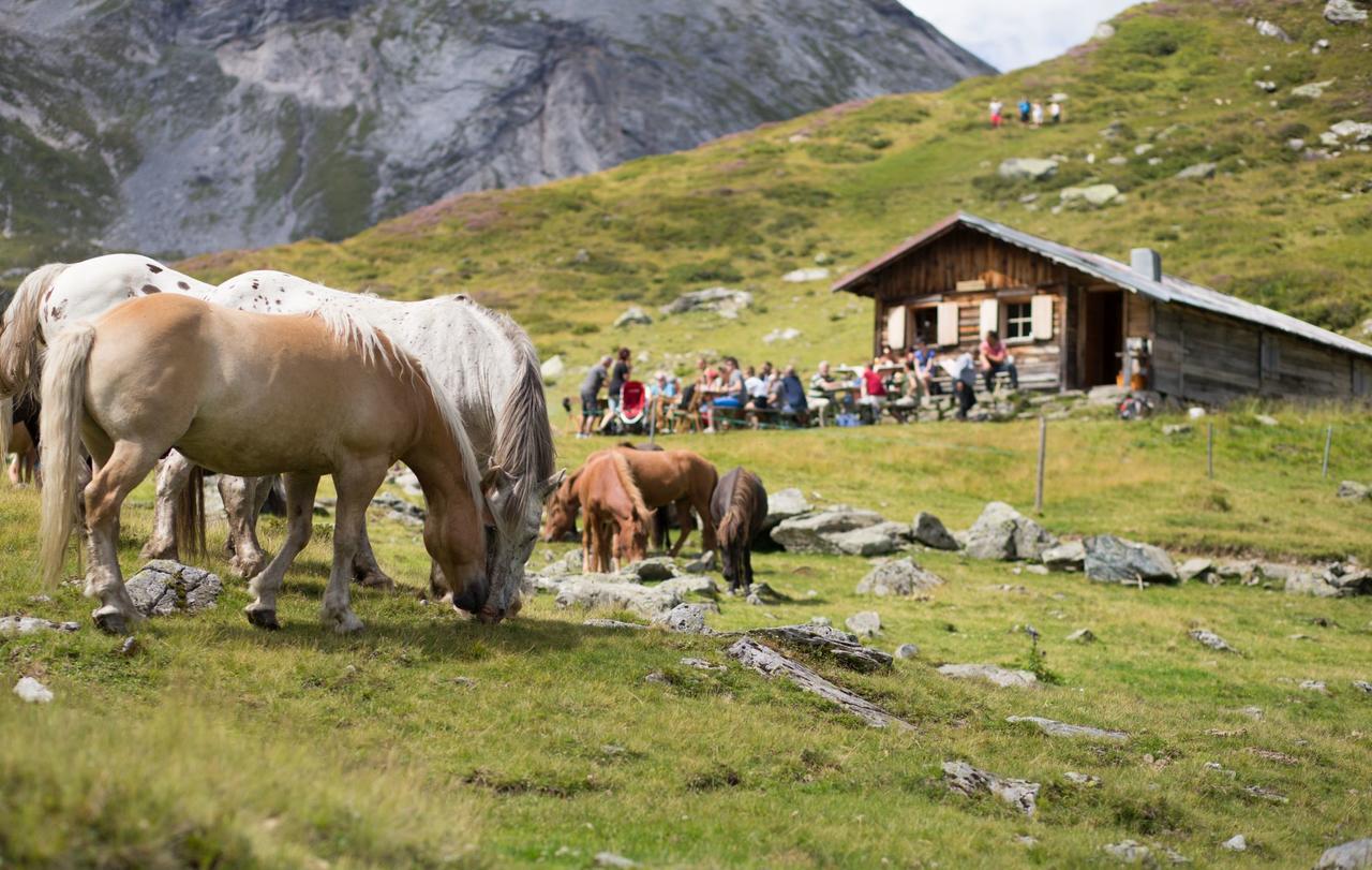 Seiterhof Hotel Schladming Ngoại thất bức ảnh